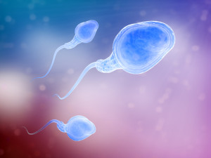 Sperm-Semen-Defects-May-Be-Linked-to-Shorter-Life-Spans