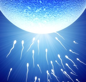 Улучшение спермограммы 