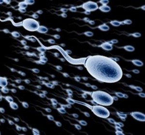 Что такое спермограмма