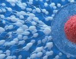 Обновление спермы у мужчин и его необходимость