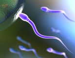 Астенозооспермия 3 степени возможно ли зачатие
